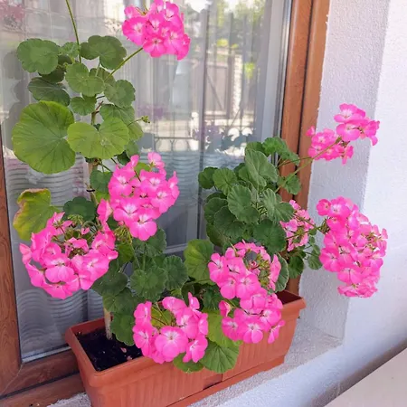 Appartement Diamond Heights