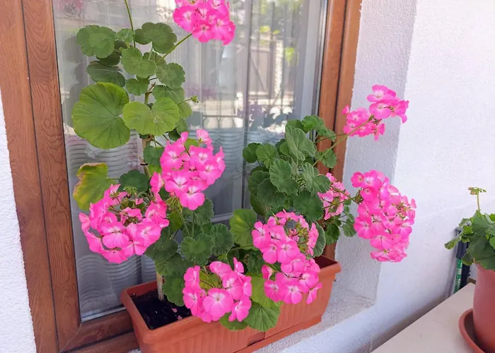 Apartman Diamond Heights